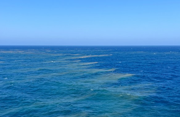 Oil slicks on the Red Sea, patches of these are quite common on the way north.