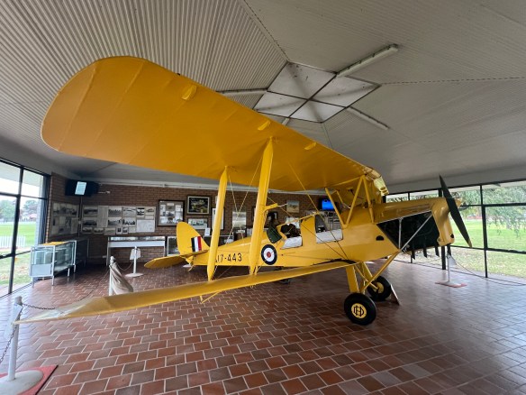 Tiger Moth.
