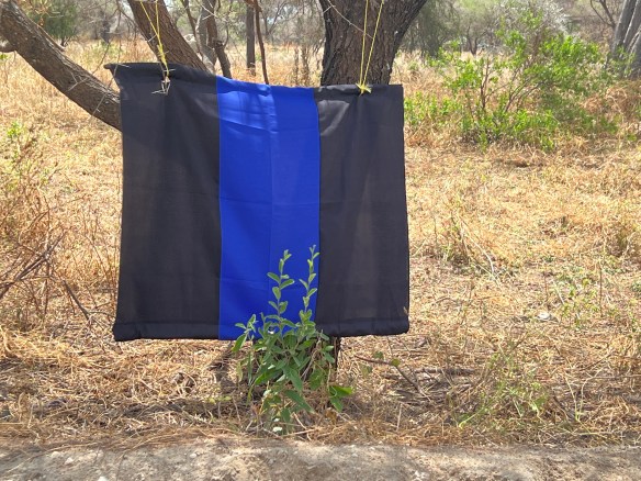 Tsetse fly flag. They are attracted to the blue but rest on the black which is sticky with something that knocks them out for the count.